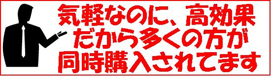 �قƂ�ǂ̕������|�[�g�ƈꏏ�ɍw������A�w�K������ʂ���ɂ����u�l�C���[���Z�~�i�[�v�ɂȂ��Ă���̂ł�